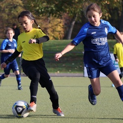 E-Juniorinnen SVR 2012/2013